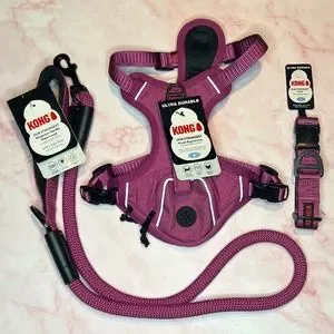 Kong Dog S Kong Dog Collar Harness And Leash Piece Dog